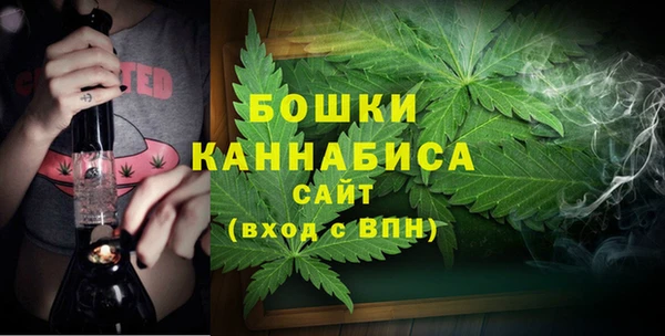 крисы Вязьма